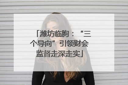 潍坊临朐：“三个导向”引领财会监督走深走实
