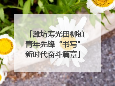潍坊寿光田柳镇青年先锋“书写”新时代奋斗篇章