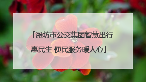 潍坊市公交集团智慧出行惠民生 便民服务暖人心