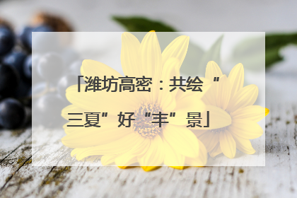 潍坊高密：共绘“三夏”好“丰”景