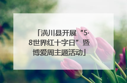 潢川县开展“5·8世界红十字日”暨博爱周主题活动