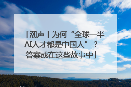 潮声丨为何“全球一半AI人才都是中国人”？答案或在这些故事中