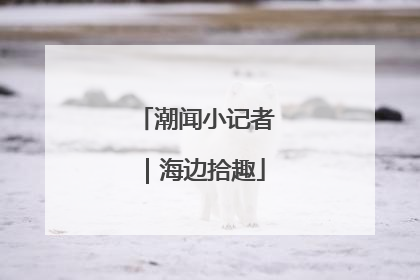 潮闻小记者｜海边拾趣