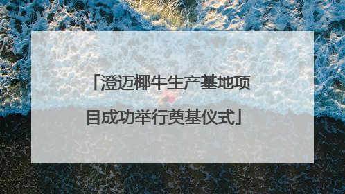 澄迈椰牛生产基地项目成功举行奠基仪式