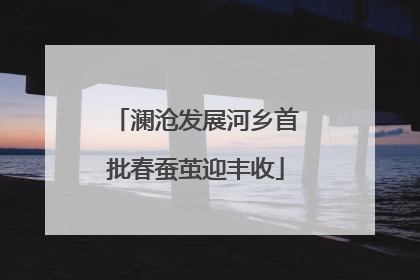 澜沧发展河乡首批春蚕茧迎丰收