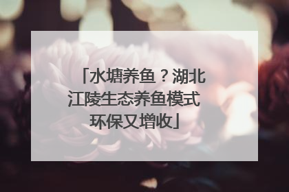 水塘养鱼？湖北江陵生态养鱼模式环保又增收