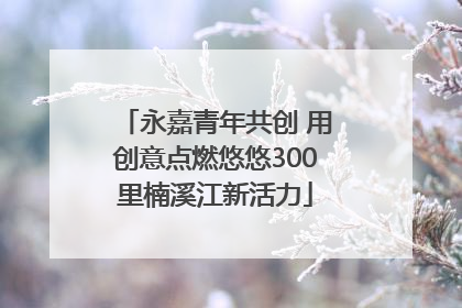 永嘉青年共创 用创意点燃悠悠300里楠溪江新活力