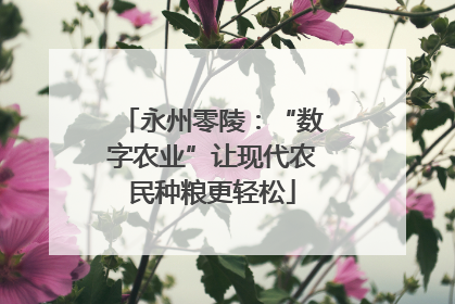 永州零陵：“数字农业”让现代农民种粮更轻松