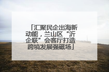 汇聚民企出海新动能，兰山区“沂企联”会客厅打造跨境发展强磁场