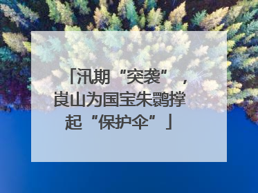 汛期“突袭”，崀山为国宝朱鹮撑起“保护伞”