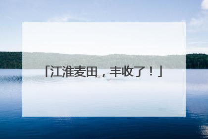 江淮麦田，丰收了！