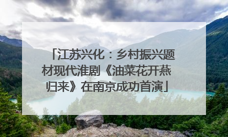 江苏兴化：乡村振兴题材现代淮剧《油菜花开燕归来》在南京成功首演