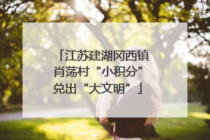 江苏建湖冈西镇肖荡村“小积分”兑出“大文明”
