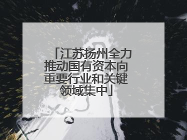 江苏扬州全力推动国有资本向重要行业和关键领域集中