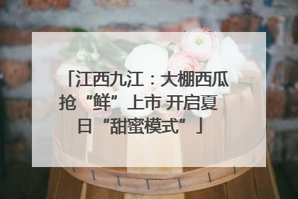 江西九江：大棚西瓜抢“鲜”上市 开启夏日“甜蜜模式”