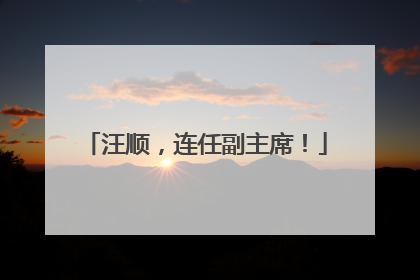 汪顺，连任副主席！
