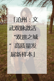 沧州：文武双脉激活“双遗之城”高质量发展新样本
