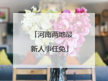 河南两地最新人事任免