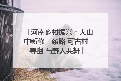 河南乡村振兴：大山中新修一条路 可古村寻幽 与野人共舞