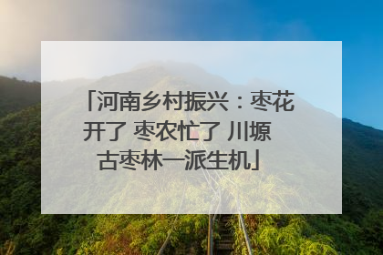 河南乡村振兴：枣花开了 枣农忙了 川塬古枣林一派生机