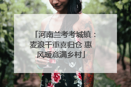 河南兰考考城镇：麦浪千重喜归仓 惠风暖意满乡村