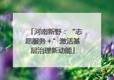 河南新野：“志愿服务＋”激活基层治理新动能
