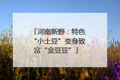 河南新野：特色“小土豆”变身致富“金豆豆”