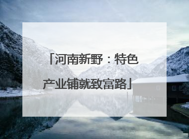 河南新野：特色产业铺就致富路
