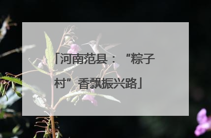 河南范县：“粽子村”香飘振兴路