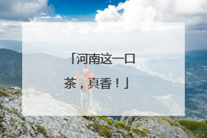 河南这一口茶，真香！