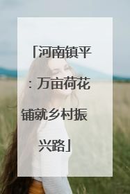 河南镇平：万亩荷花铺就乡村振兴路