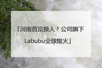 河南首富换人！公司旗下Labubu全球爆火