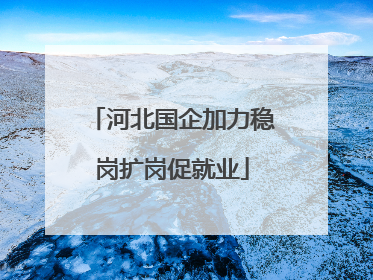 河北国企加力稳岗扩岗促就业