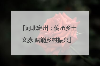 河北定州：传承乡土文脉 赋能乡村振兴