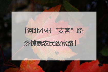 河北小村“麦客”经济铺就农民致富路
