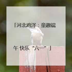 河北鸡泽：童趣端午 快乐“六一”