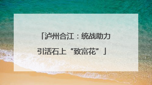 泸州合江：统战助力引活石上“致富花”