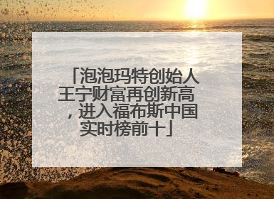 泡泡玛特创始人王宁财富再创新高，进入福布斯中国实时榜前十