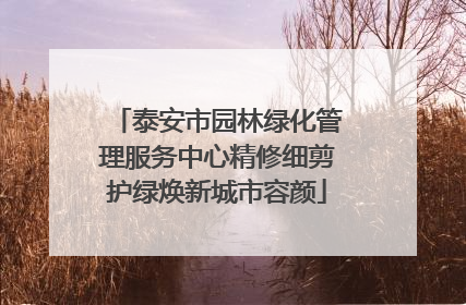 泰安市园林绿化管理服务中心精修细剪护绿焕新城市容颜