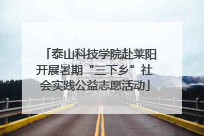 泰山科技学院赴莱阳开展暑期“三下乡”社会实践公益志愿活动
