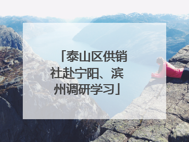 泰山区供销社赴宁阳、滨州调研学习