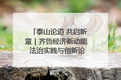 泰山论道 共启新章｜齐鲁经济新动能 法治实践与创新论坛成功举办