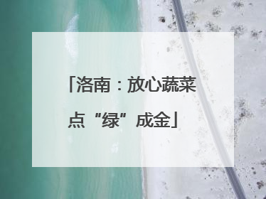 洛南：放心蔬菜点“绿”成金