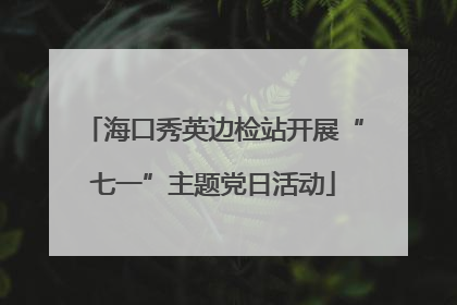 海口秀英边检站开展“七一”主题党日活动