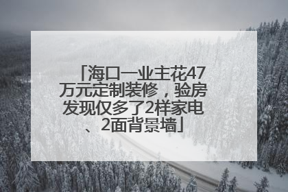 海口一业主花47万元定制装修，验房发现仅多了2样家电、2面背景墙