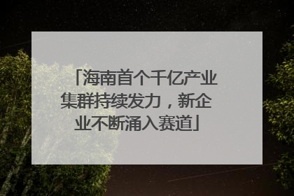 海南首个千亿产业集群持续发力，新企业不断涌入赛道