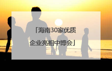 海南30家优质企业亮相中博会