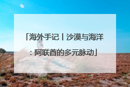 海外手记丨沙漠与海洋：阿联酋的多元脉动