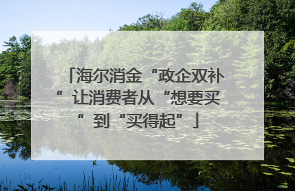 海尔消金“政企双补”让消费者从“想要买”到“买得起”