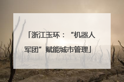 浙江玉环：“机器人军团”赋能城市管理